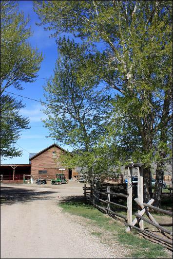 Hotel Rand Creek Ranch à Wapiti Chambre photo